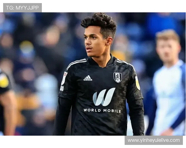 富勒姆俱乐部最新动态分析与未来赛季发展前景揭秘